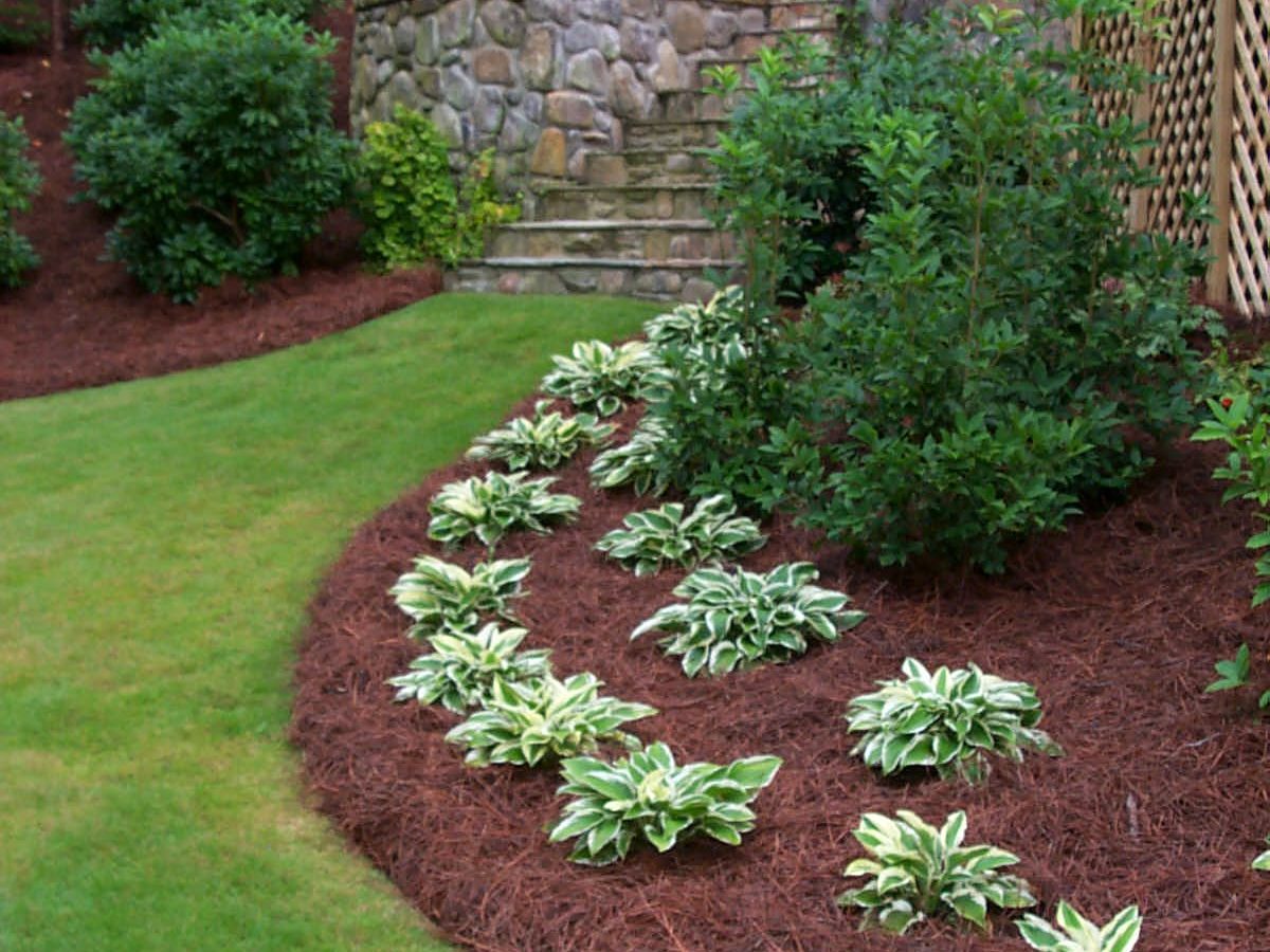 A landscaped garden with green hostas bordered by mulch, a neatly trimmed lawn, shrubs, and a stone wall with steps leading to a rustic deck in the higher area.