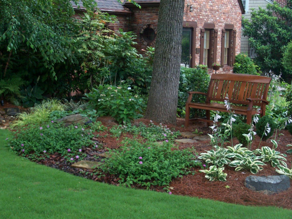 A wooden bench sits serenely under a tree in a lush garden, enveloped by vibrant greenery and flowers, with a charming house in the background.