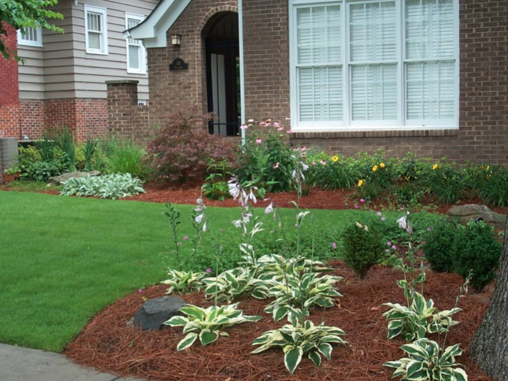 A well-maintained front yard showcases a lush garden with green grass, vibrant flower beds filled with hostas and various plants, all accented by red mulch near the charming brick house.