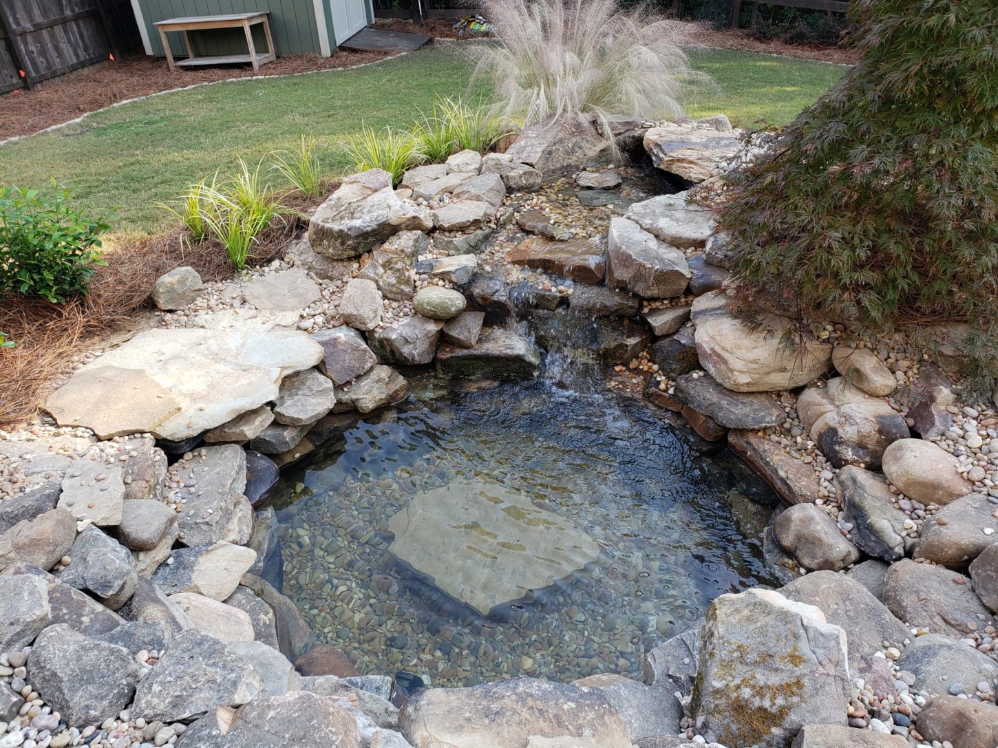 A tranquil backyard pond with clear water is nestled by a cozy patio, surrounded by rocks and small plants, featuring a beautiful waterfall cascading over stones.