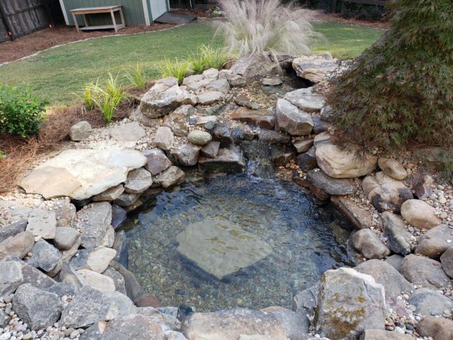 A tranquil backyard pond with clear water is nestled by a cozy patio, surrounded by rocks and small plants, featuring a beautiful waterfall cascading over stones.