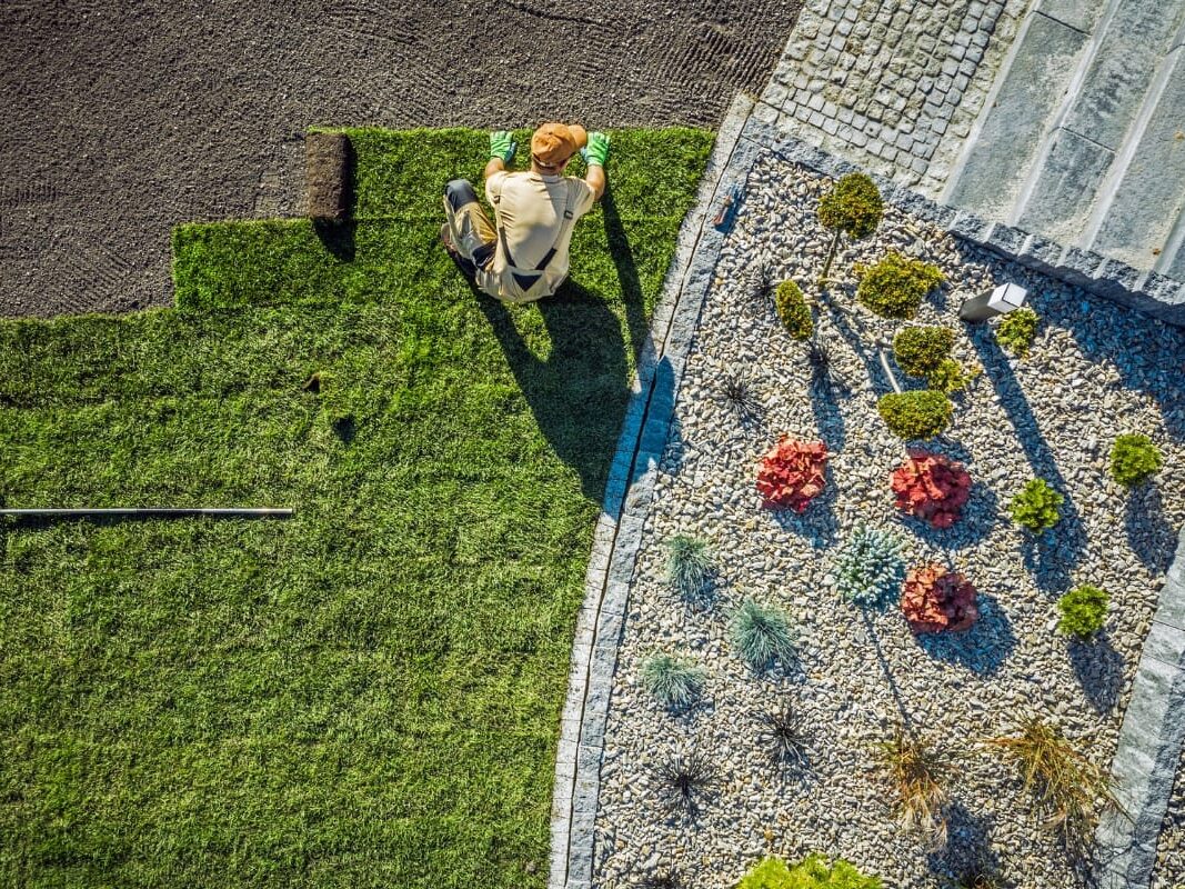 A person installs grass sod next to a landscaped stone area with small plants and decorative rocks, showcasing creative landscaping and design. A rake lies on the grass.