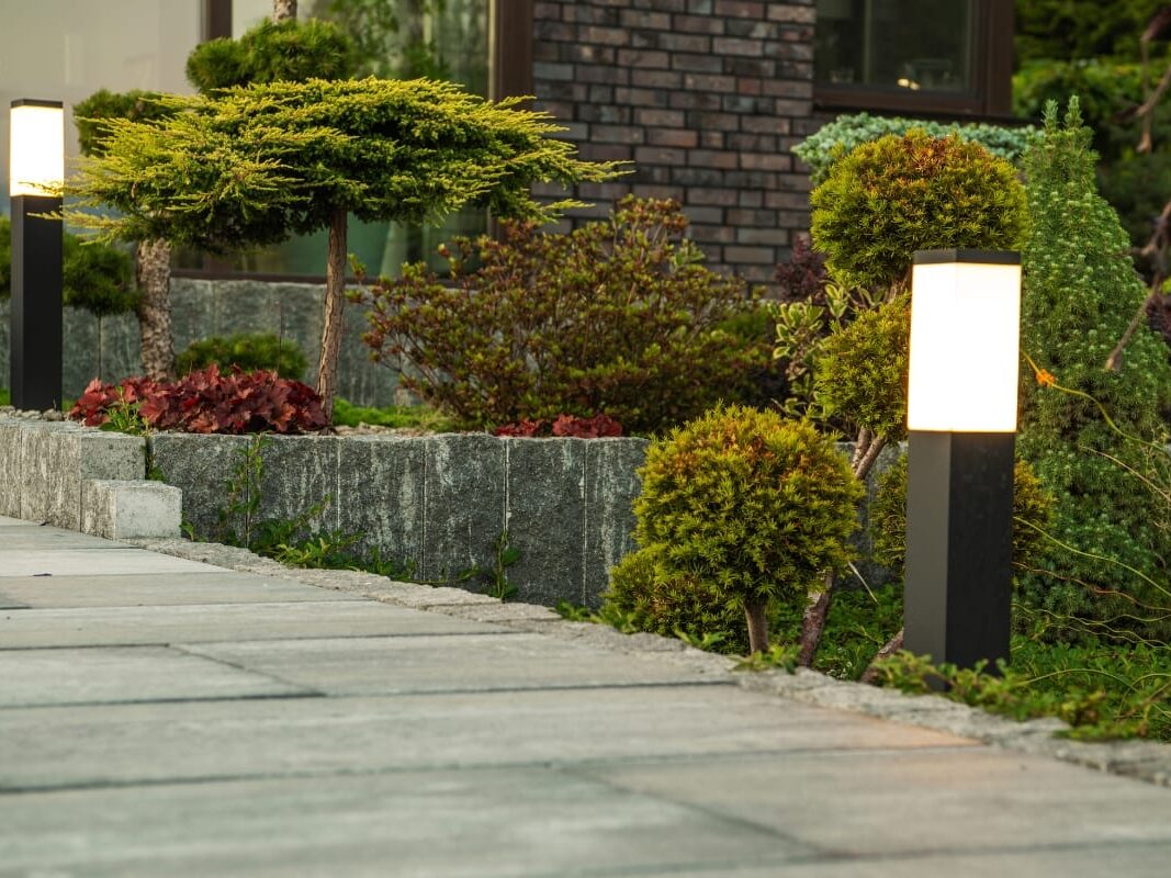 The illuminated pathway boasts energy-efficient landscape lighting with modern rectangular fixtures, bordered by neatly trimmed shrubs and small trees on a stone-paved path.