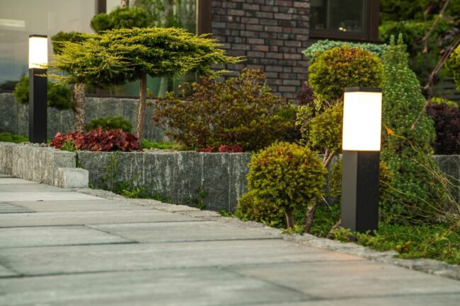 The illuminated pathway boasts energy-efficient landscape lighting with modern rectangular fixtures, bordered by neatly trimmed shrubs and small trees on a stone-paved path.