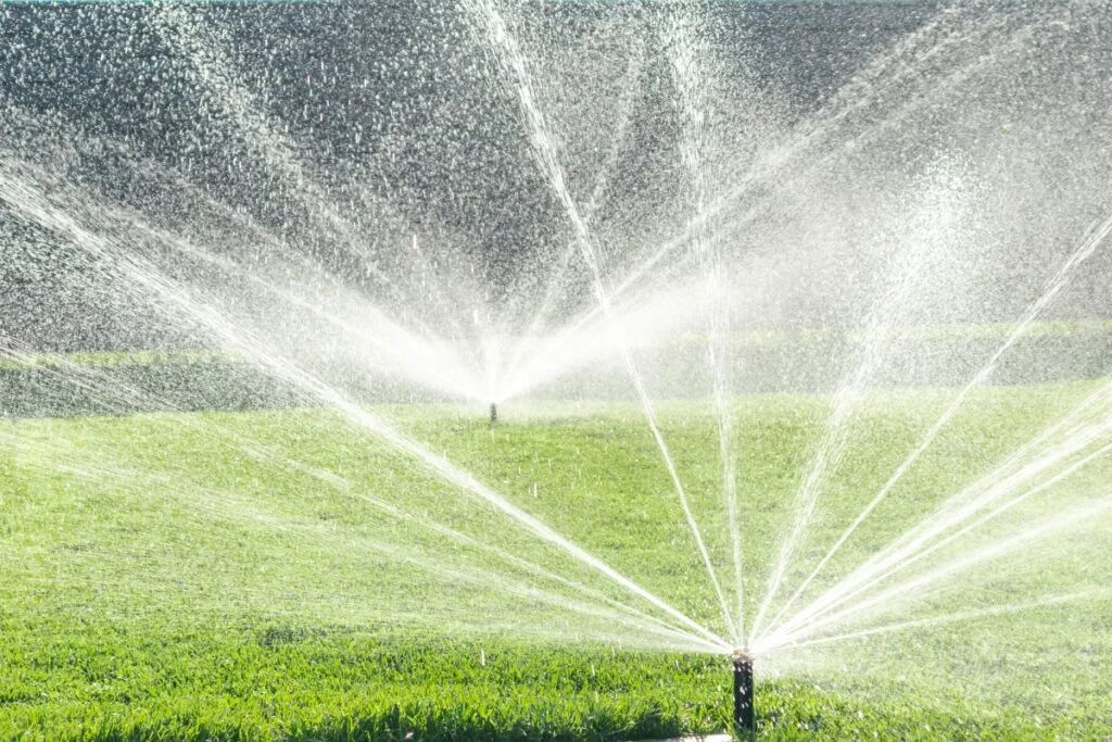 Lawn sprinklers spray water over a green grassy area on a sunny day, illustrating how to design a sprinkler system that ensures even coverage and vibrant growth.