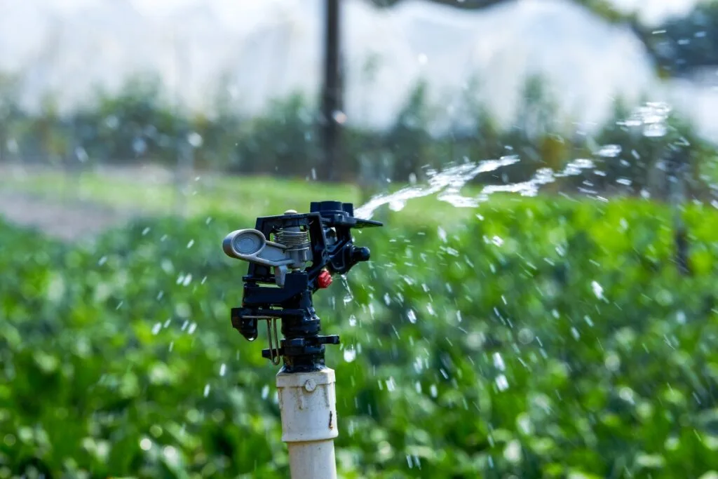 A close-up of a sprinkler spraying water over a green field showcases the art of how to design a sprinkler system, with blurred vegetation and structures providing a serene backdrop.