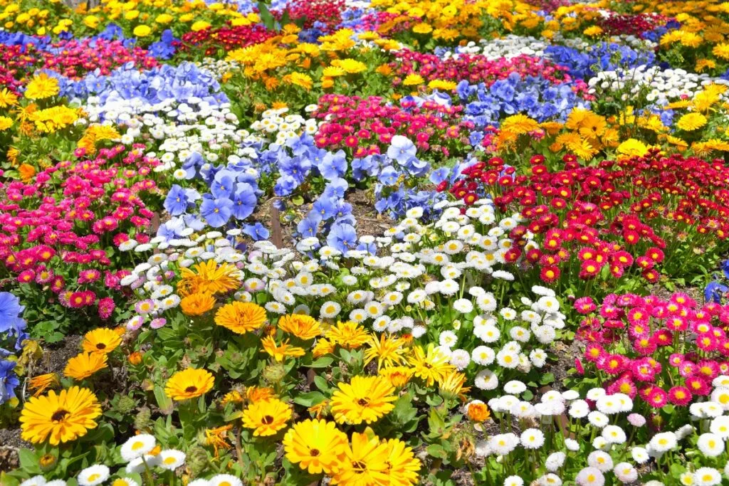 A colorful flowerbed with various blooming flowers in shades of yellow, pink, blue, white, and red exemplifies sustainable landscaping in Georgia.
