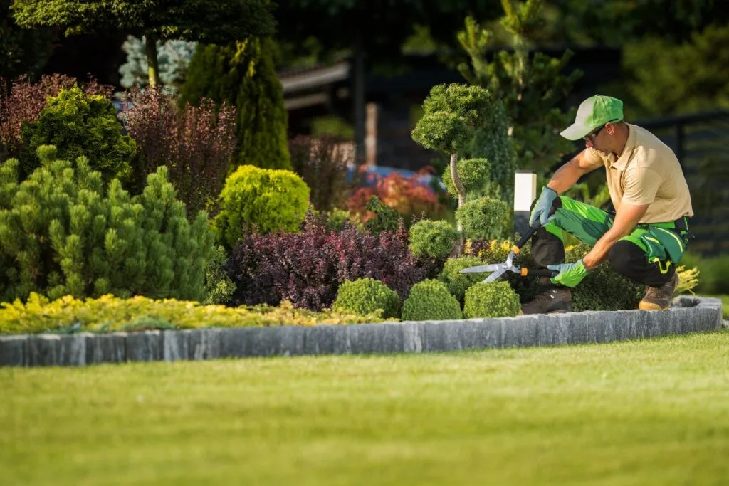 A gardener in green and tan expertly uses clippers to shape hedges in a landscaped garden, showcasing sustainable landscaping in Georgia with various shrubs and neatly trimmed grass.