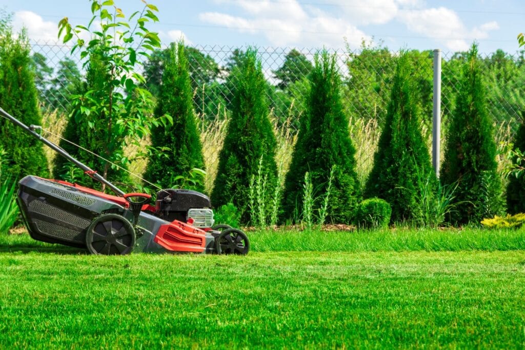 A red and black lawn mower sits on a freshly cut green lawn with neatly trimmed shrubs, showcasing the elegance of luxury landscape design in Georgia, bordered by a chain-link fence in the background.
