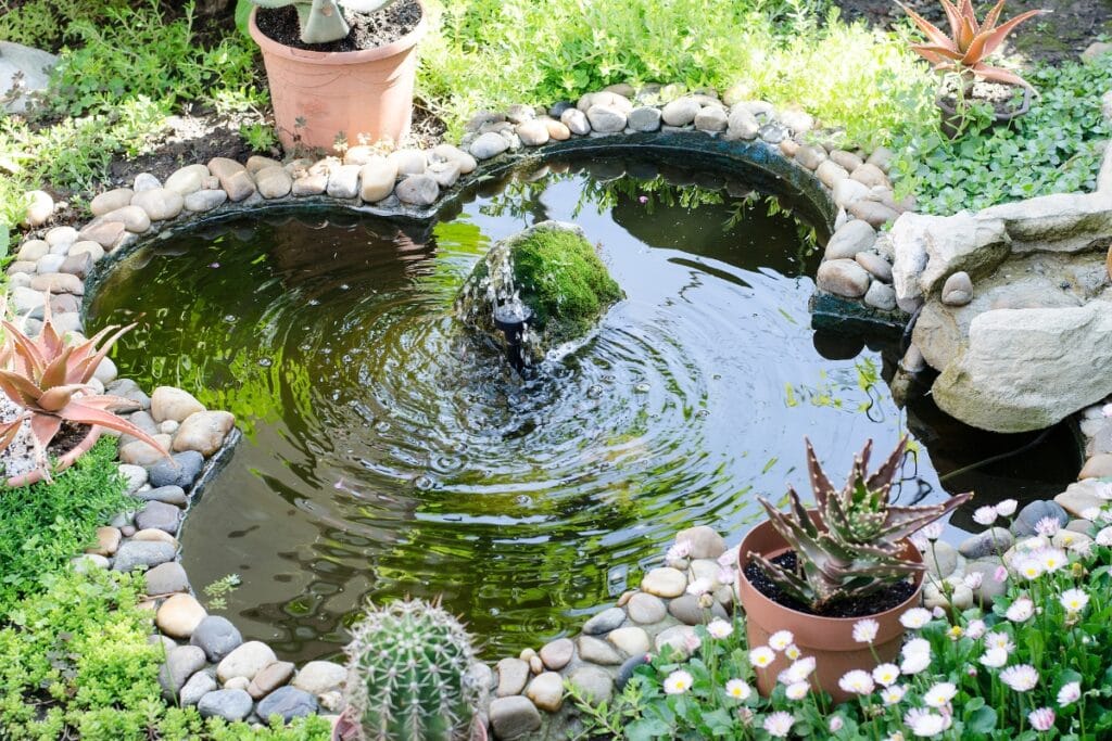 A small, heart-shaped garden pond bordered with rocks creates a charming outdoor living space, surrounded by potted succulents, cactus, and lush green plants, with a tranquil water feature in the center.
