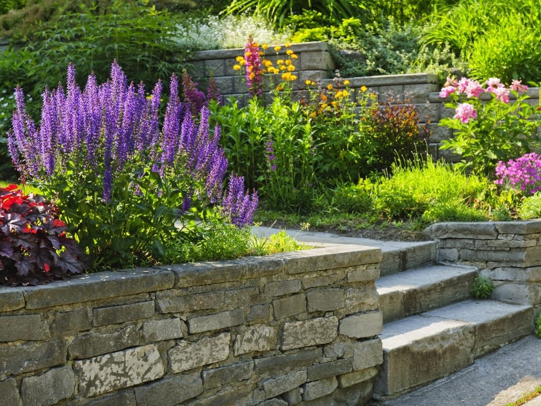 Stone steps and retaining walls border garden beds filled with blooming purple, yellow, and pink flowers, all basking in bright sunlight.