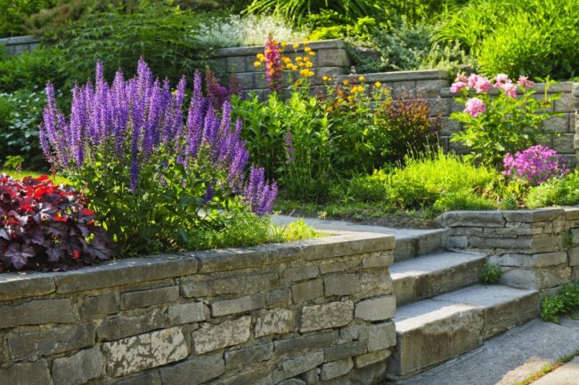 Stone steps and retaining walls border garden beds filled with blooming purple, yellow, and pink flowers, all basking in bright sunlight.