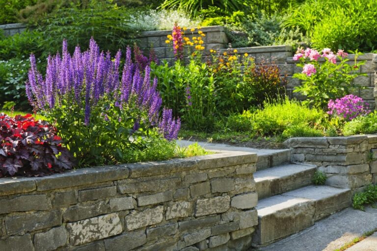 Stone steps and terraced garden beds with blooming purple, yellow, and pink flowers are bordered by retaining walls, surrounded by lush greenery on a sunny day.