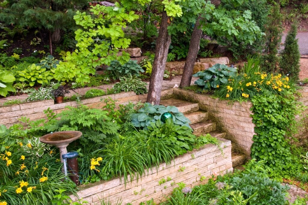 Tiered garden with elegant stone retaining walls, lush green shrubs, trees, cheerful yellow flowers, winding stone steps, and a charming birdbath.