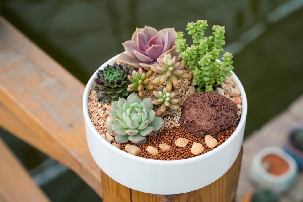 A white bowl planter filled with assorted succulents, small pebbles, and a decorative rock sits on a wooden post outdoors—perfect for drought-resistant landscaping.