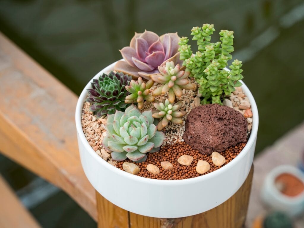 A white bowl filled with various small succulents, decorative rocks, and pebbles sits on a wooden post outdoors, adding a touch of landscape design charm to the setting.