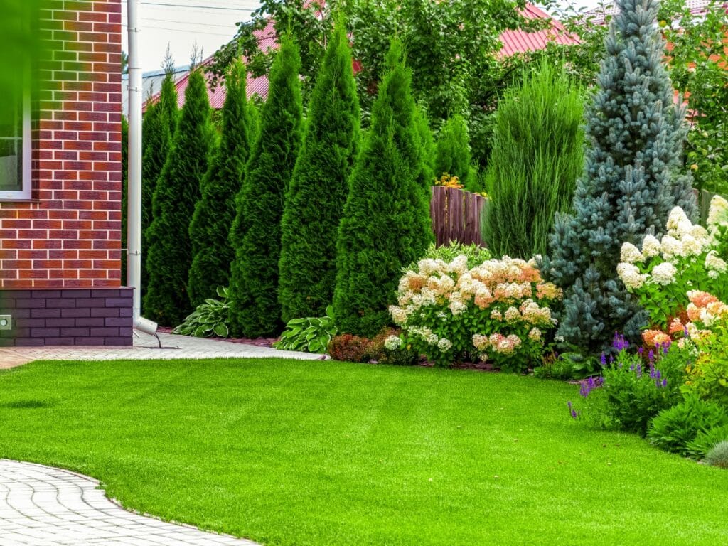 A neatly landscaped garden with green grass, evergreen trees, flowering shrubs, and a brick house on the left showcases thoughtful landscape design.
