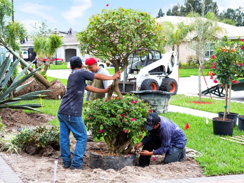 Two workers are planting a large flowering shrub in a yard, illustrating expert landscape design, while a skid-steer loader operates nearby; housing and landscaping equipment are visible in the background.