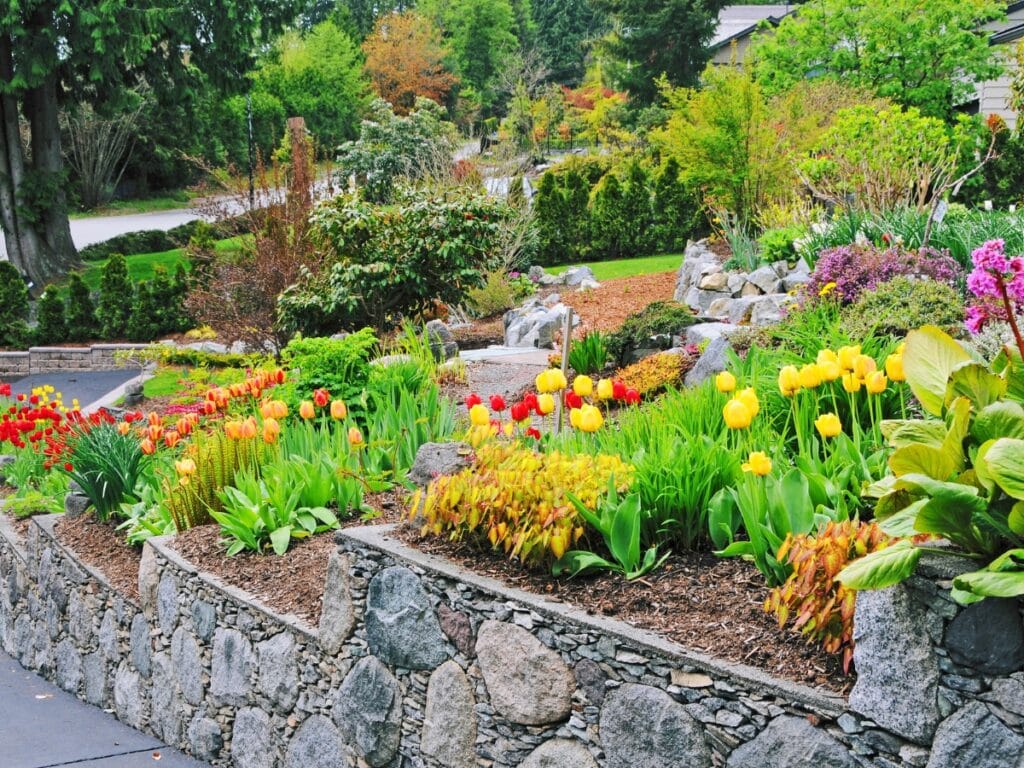 A landscaped garden with stone walls features blooming yellow and red tulips, green shrubs, and various plants on multiple levels, showcasing thoughtful landscape design.