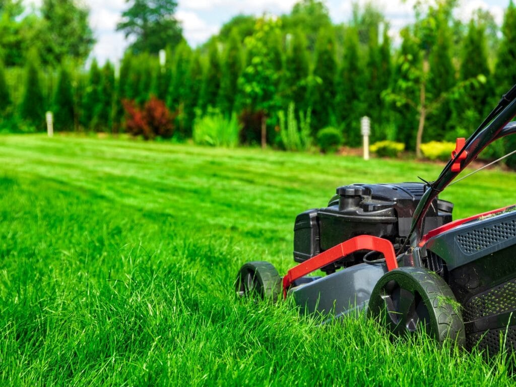 A lawn mower cuts grass on a green, neatly trimmed lawn with trees and shrubbery in the background—perfect for showcasing your Fall Landscaping Tips.