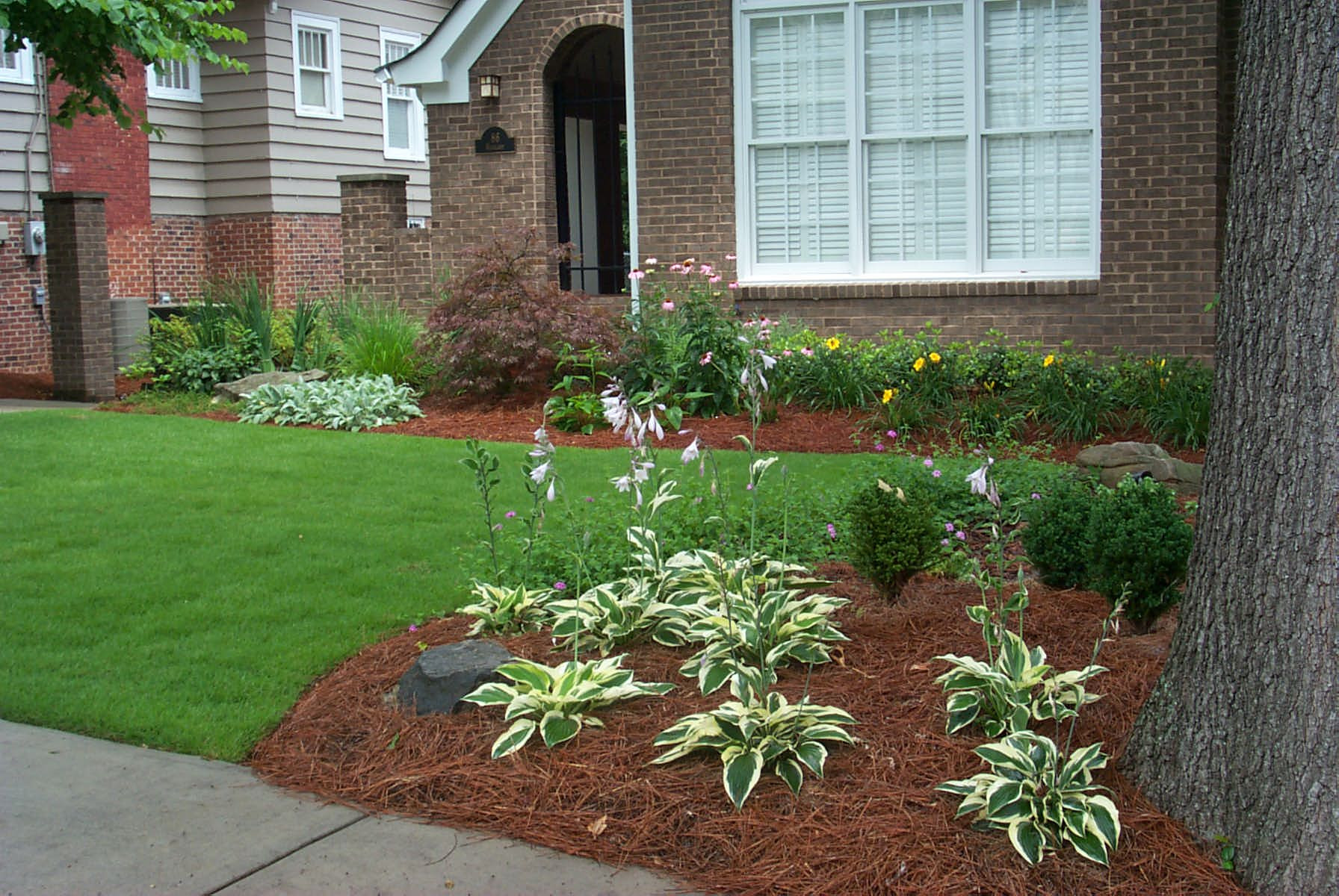 A neatly landscaped front yard with green grass, mulched flowerbeds, various plants, shrubs, and a brick house with white window shutters in the background.