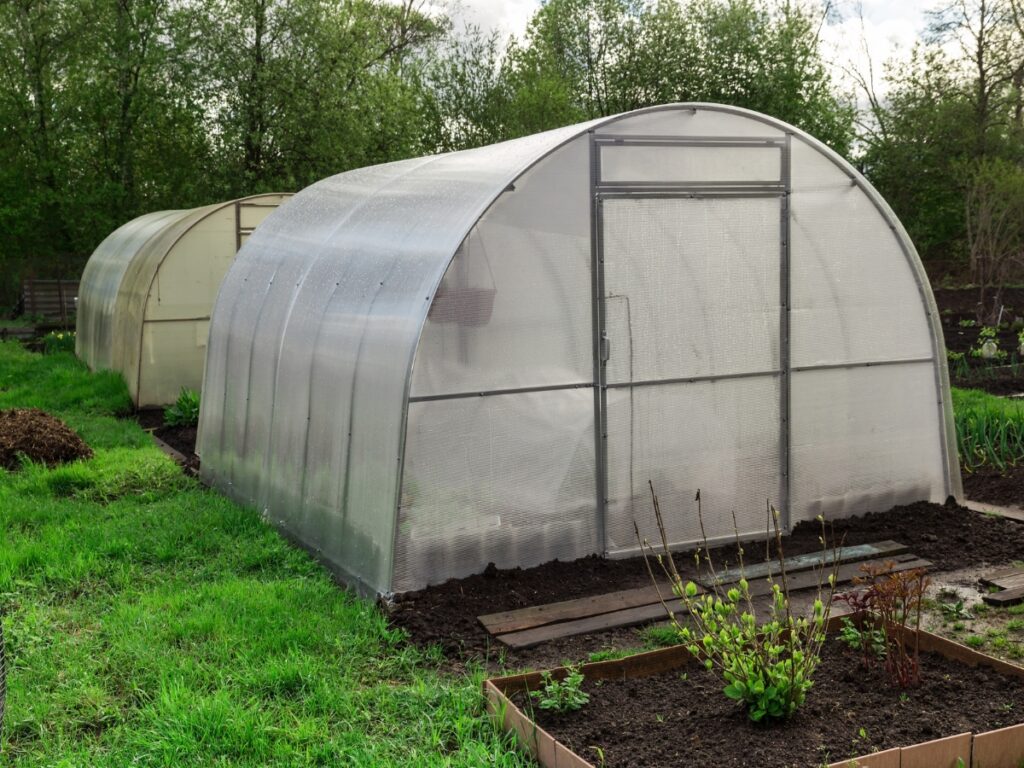 Two plastic greenhouses stand side by side on a grassy plot with garden beds in the foreground and trees beyond—ideal for winter landscaping preparation.