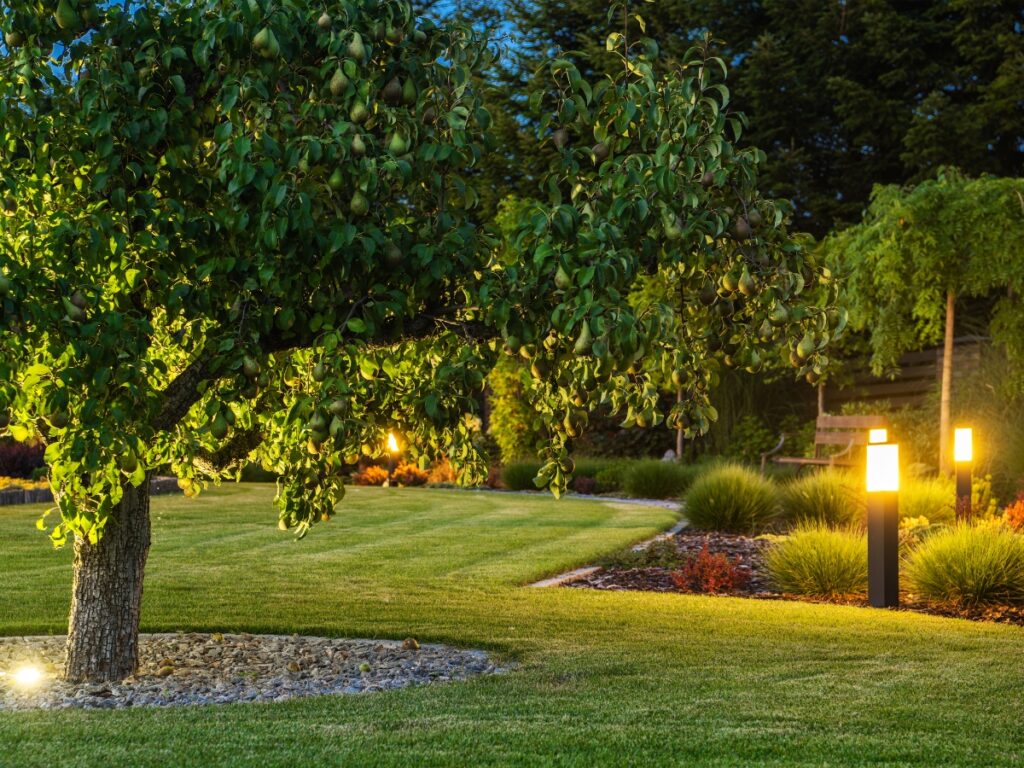 A well-lit garden at dusk showcases a professional landscape installation with a leafy tree, manicured lawn, illuminated pathway lights, and various shrubs and greenery.
