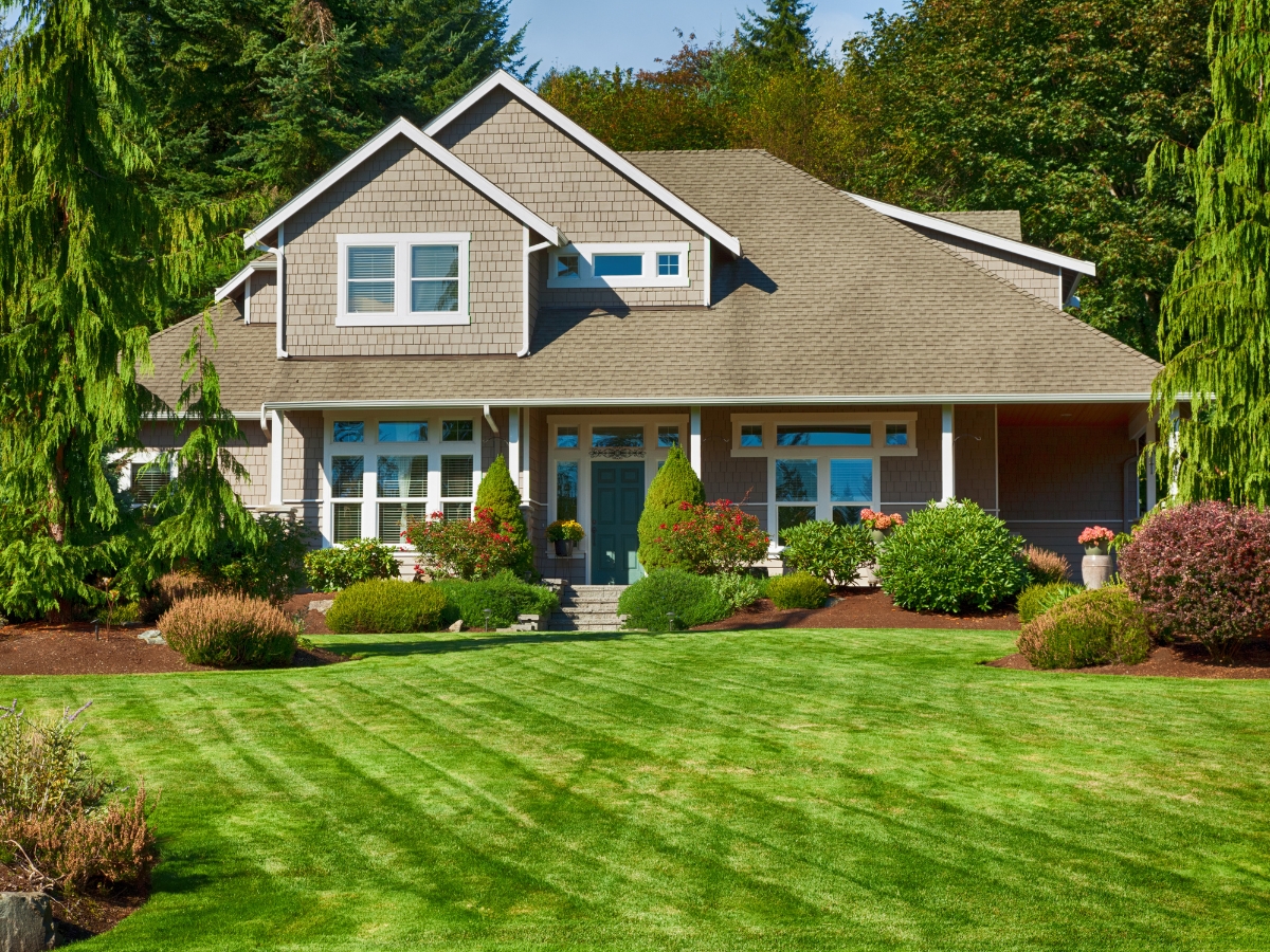 A two-story suburban house with a manicured lawn, shrubs, and trees in the front yard showcases professional landscape installation, surrounded by lush greenery under a clear sky. A two-story suburban house with a manicured lawn, shrubs, and trees in the front yard showcases professional landscape installation, surrounded by lush greenery under a clear sky.
