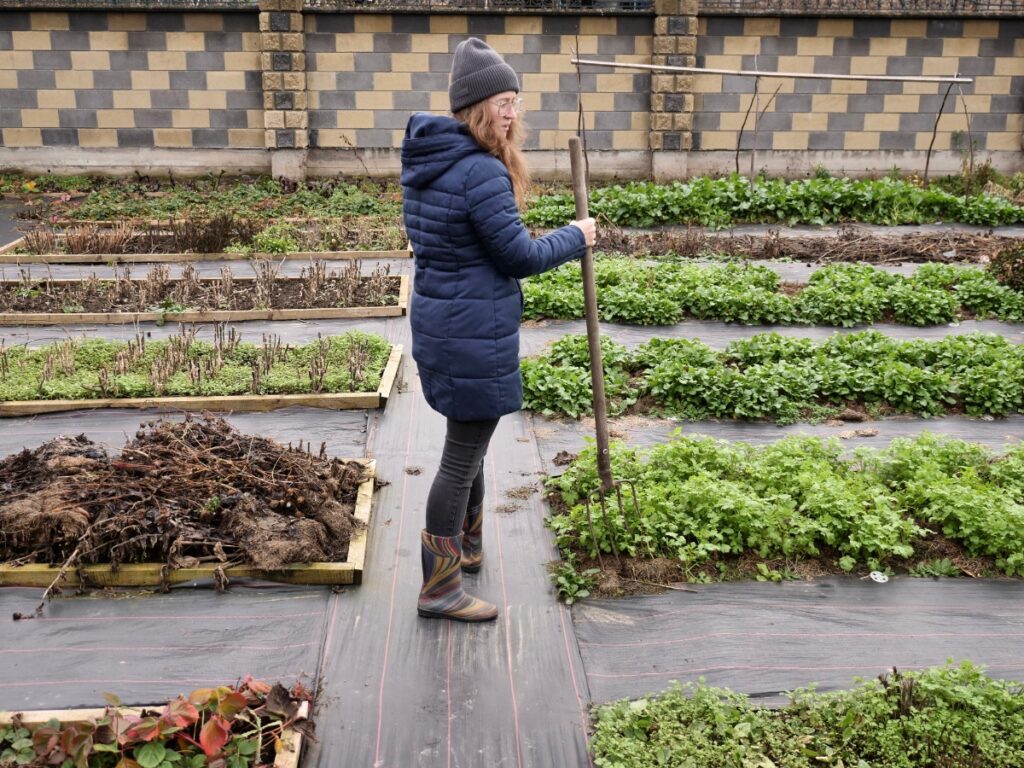 A person in a blue coat and boots stands in a garden with raised beds, holding a gardening tool, surrounded by green plants and soil—busy with spring garden planning in winter.