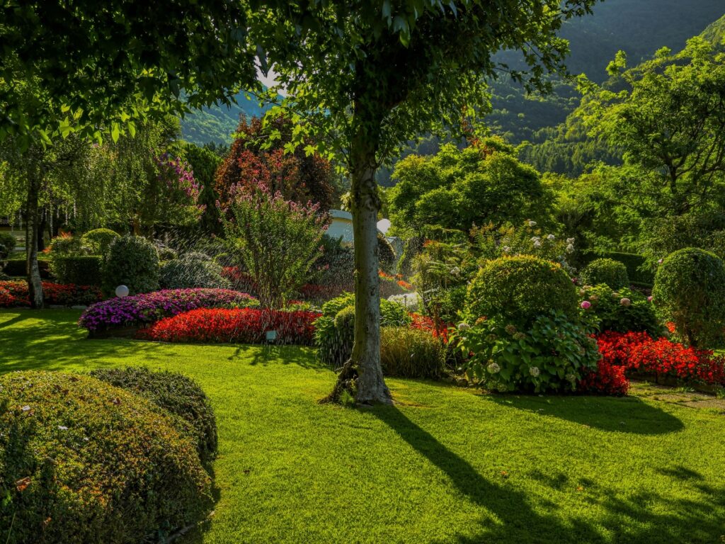 A well-maintained garden with neatly trimmed bushes, colorful flower beds, and a tree casting a shadow on green grass, all standing resilient under bright sunlight despite recent extreme weather.