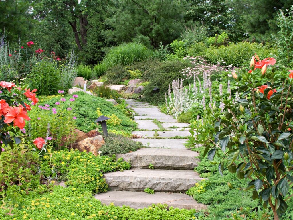 Stone path with steps winding through a lush garden filled with various green plants and colorful flowers, surrounded by trees and shrubs resilient even during extreme weather.