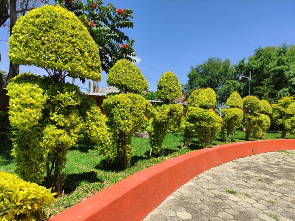 Bushes, including native shrubs trimmed into various geometric shapes, line a curved red border along a paved walkway under a clear blue sky.