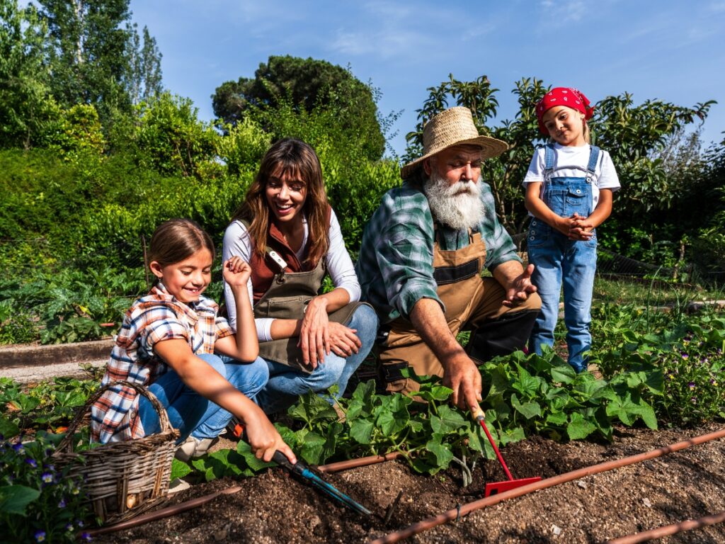 A family of four, including two adults and two children, tends to their edible landscaping vegetable garden together on a sunny day.