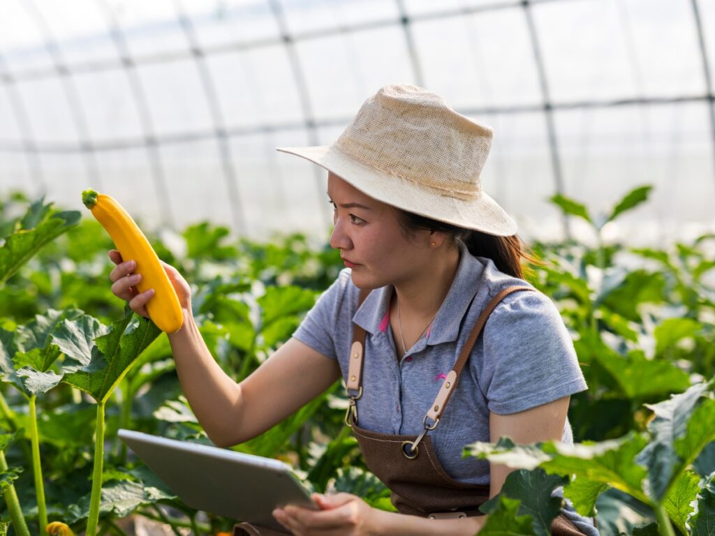 A woman in a greenhouse examines a yellow squash while holding a tablet, surrounded by green plants—a perfect example of edible landscaping in action.
