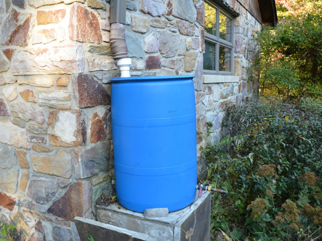 A blue rain barrel sits on a platform beside a stone house, connected to a downspout for collecting rainwater as part of a rainwater harvesting system. Shrubs and plants are visible in the background.