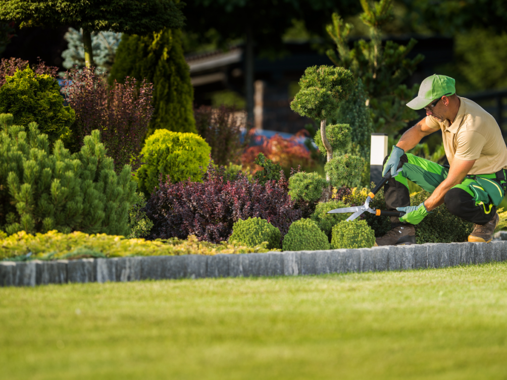 A landscaper in uniform trims shrubs with shears in a well-maintained garden next to a green lawn, showcasing expert garden care.