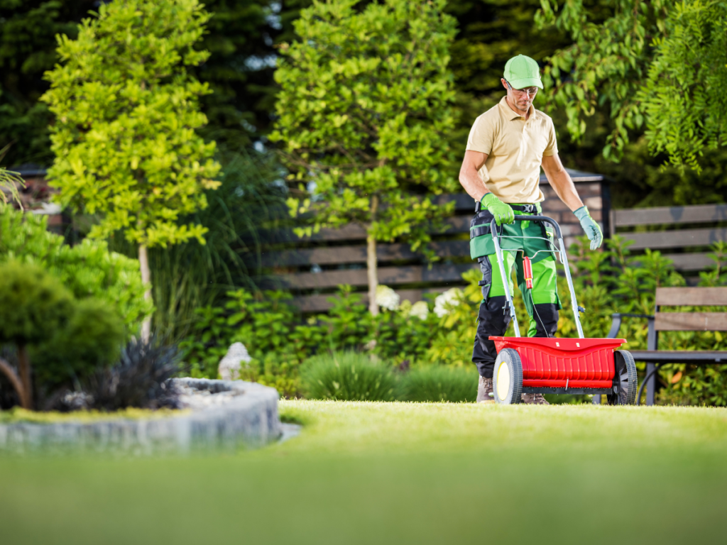 Person wearing a cap and gloves uses a red lawn spreader on a green yard, surrounded by trees and plants, with a wooden fence in the background, demonstrating attentive garden care.